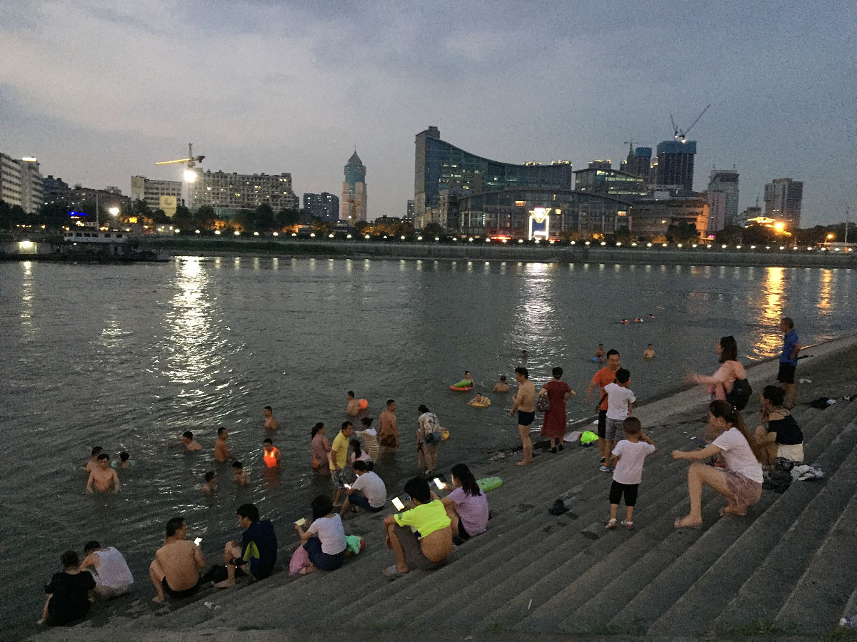 夏日热浪：无声的束缚与顽强的生命力