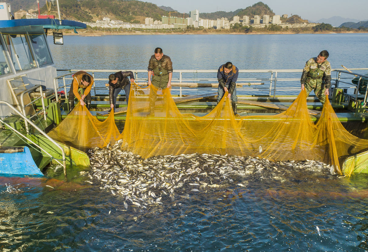 杭州人民职业学校2021年招生简章