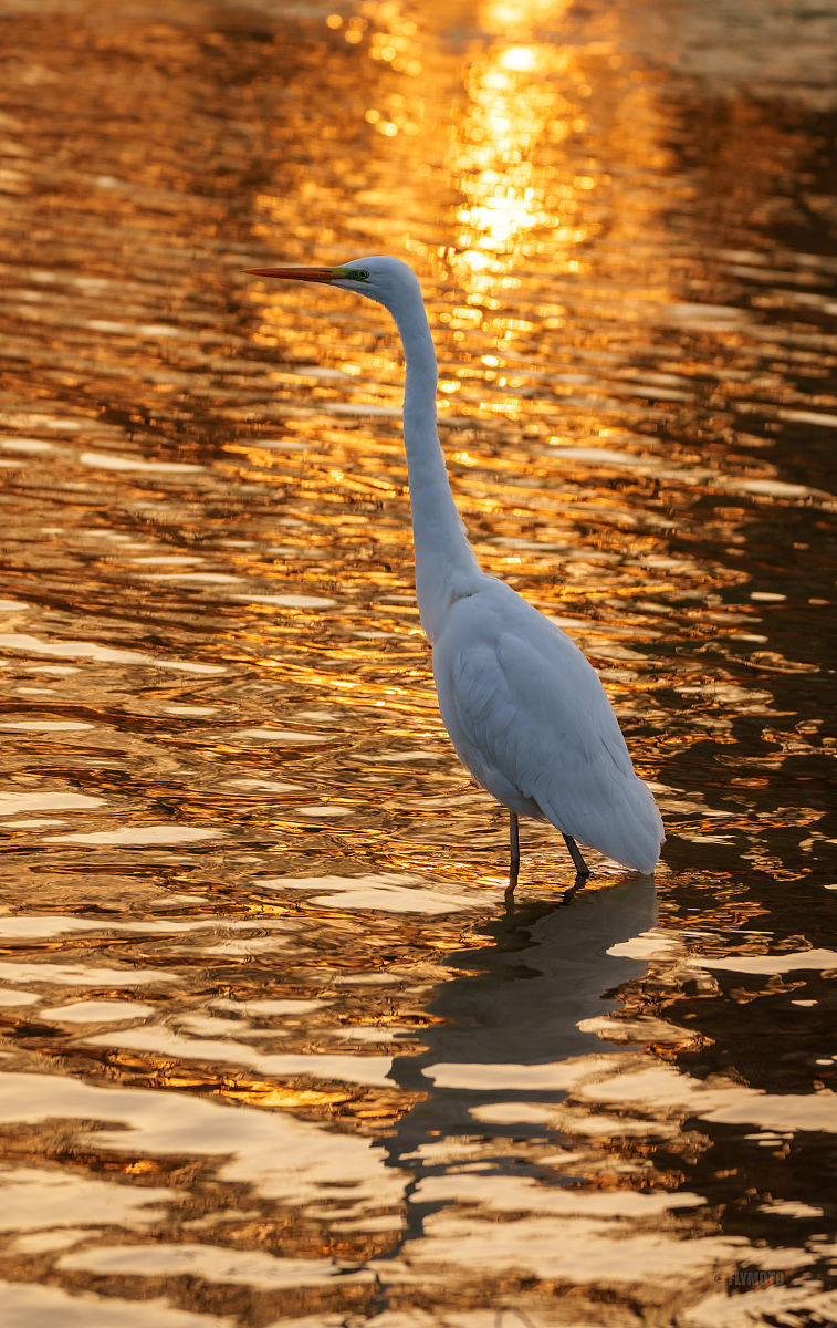 太原财贸学校2022年招生简章 - 报名指南