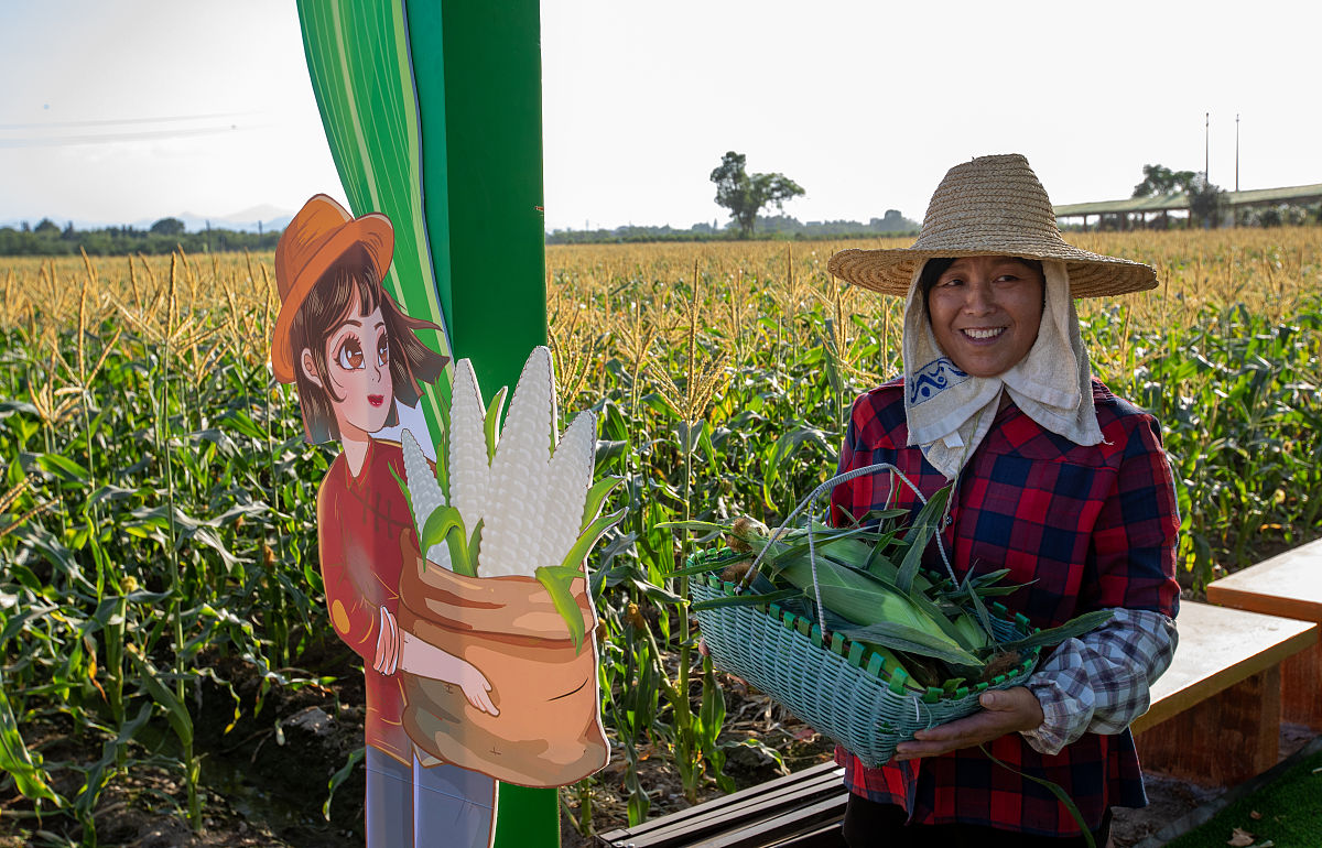 How to Grow Food on Mars: A 6-Month Survival Guide