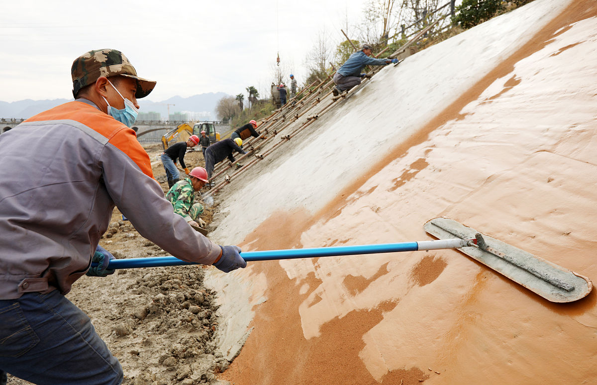 堤坝水利工程白蚁防治：普查服务及处罚措施
