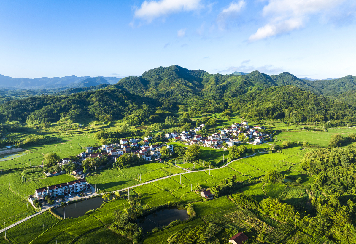 如何优雅的反驳一个人告诉他农村也有好风景