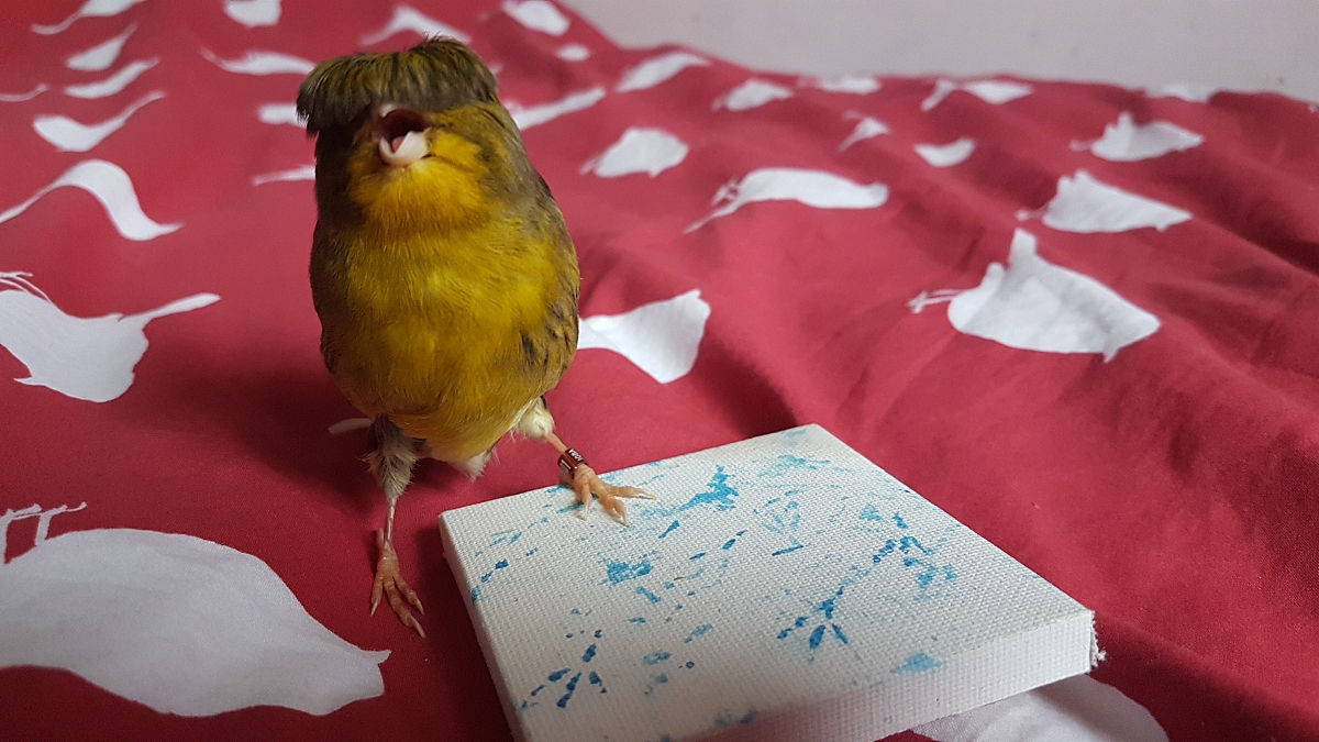 爱上游戏梦幻西游版：一个充满魅力的游戏世界