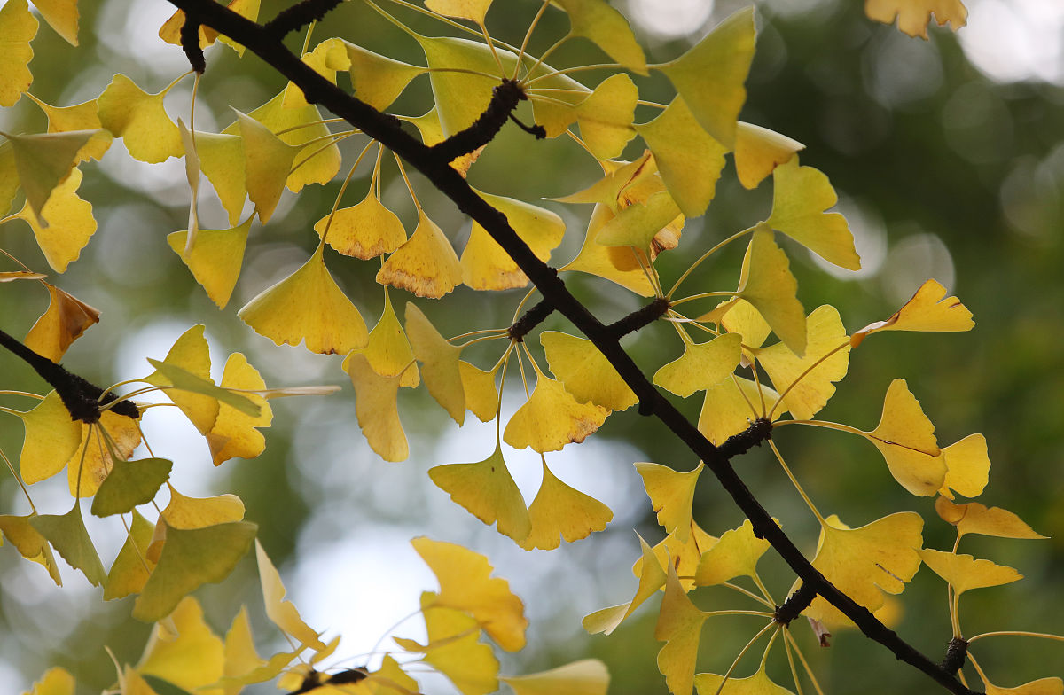 云南哪些卫校就业前景好？2023年最新排名