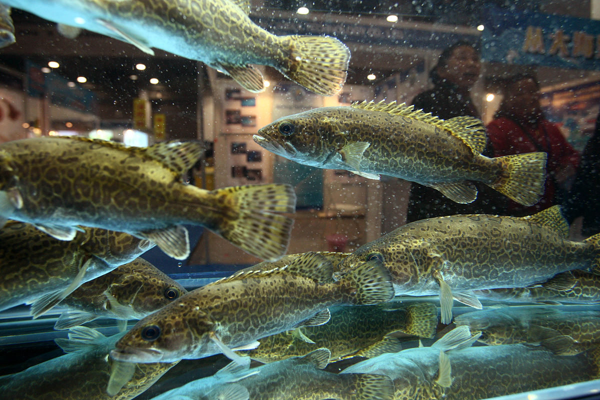 上海海洋大学海洋渔业科学与技术专业怎么样？- 培养高素质人才，就业前景广阔