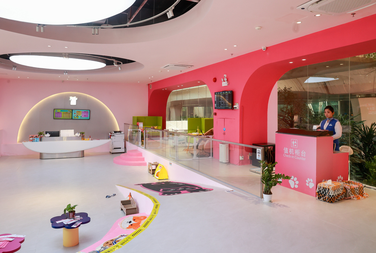 厦门十大早教机构排名:精选优质早教,助力孩子成长