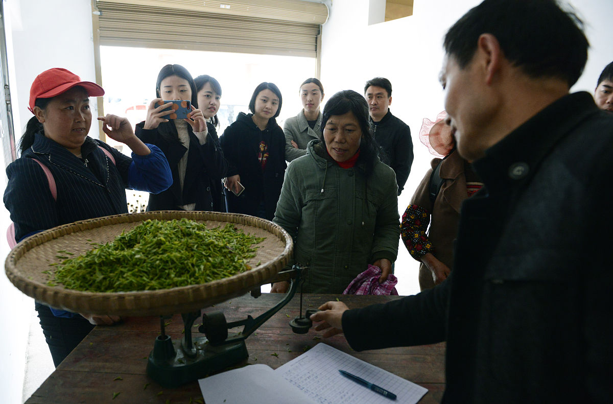四川省峨眉山市职业技术学校茶叶生产与加工专业到底行不行设有哪些课程