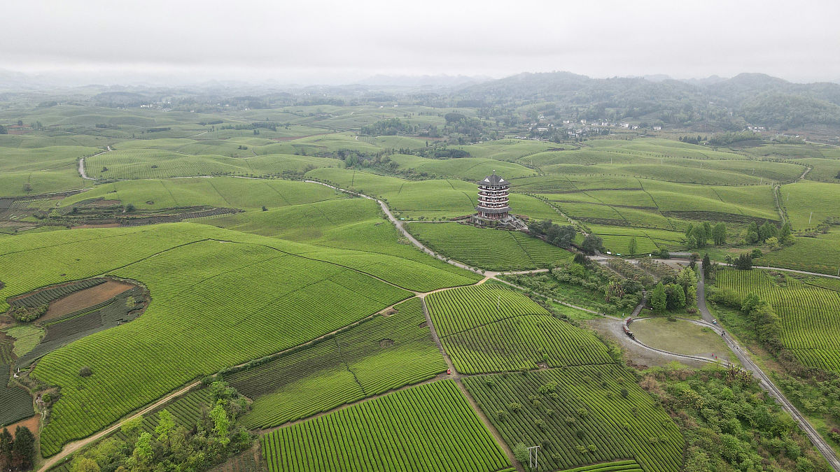 你们县自然资源不错但是养在深闺无人知茶叶资源丰富有革命遗址古城遗迹与其他知名景区隔得近让你搞一个旅游规划方案你会重点推介什么按照公务员面试标准回答600字左右加上和附近的知名景区一起开发旅游项目