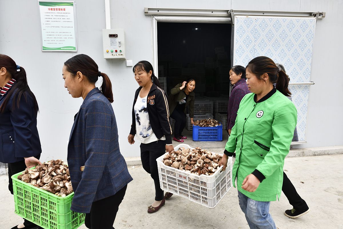 重庆职业学校医学影像专业：就业前景好，值得选择吗？