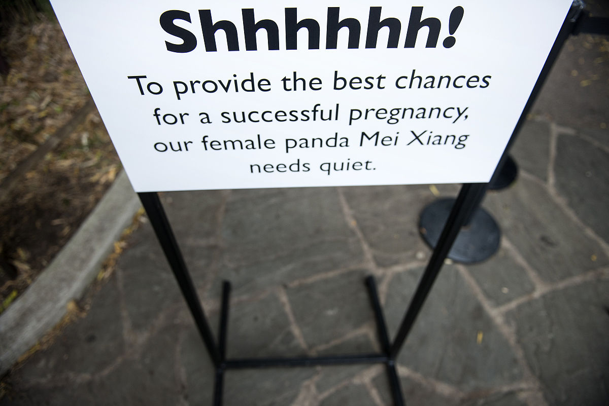 When my wife was still here she refused to let me pay for everything we both went 5050 on everything groceries bills non foods everything and now its just me its hard but Im surviving