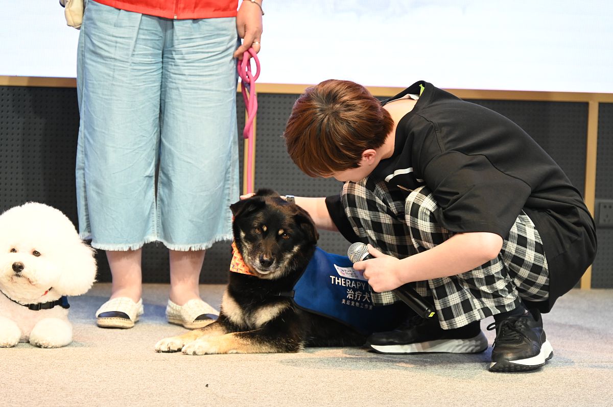 动物保护网站的课题目的