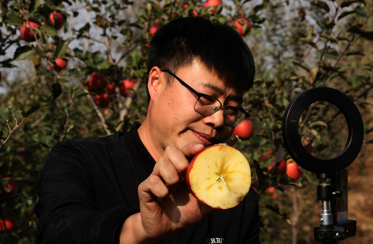 里丑捧心是什么意思