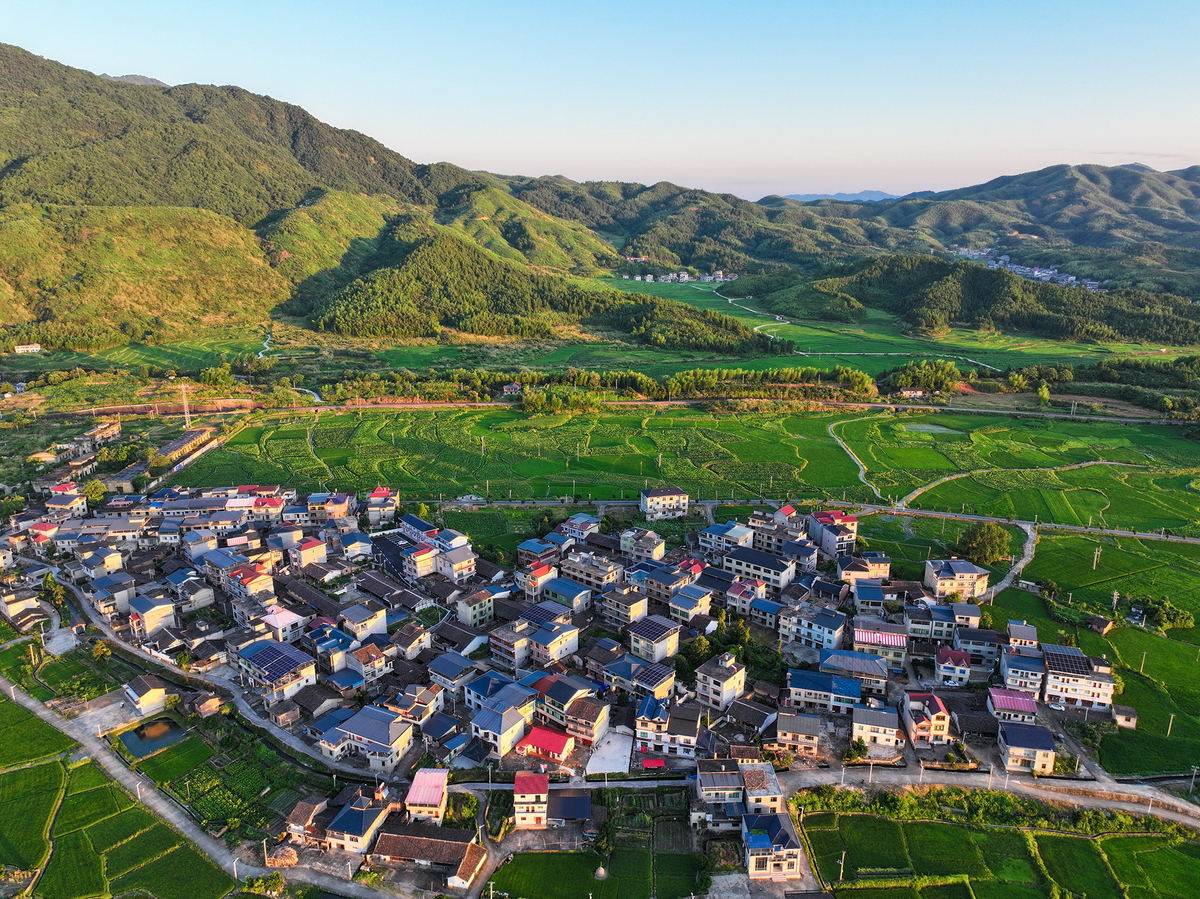 龙头村乡村旅游失败的原因