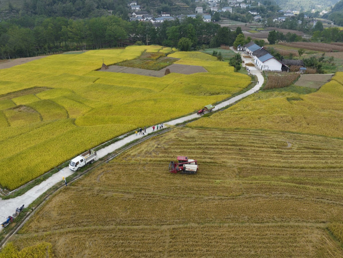 冷水云中花都旅游,它位于重庆市石柱土家族自治县冷水镇八龙村,那里是