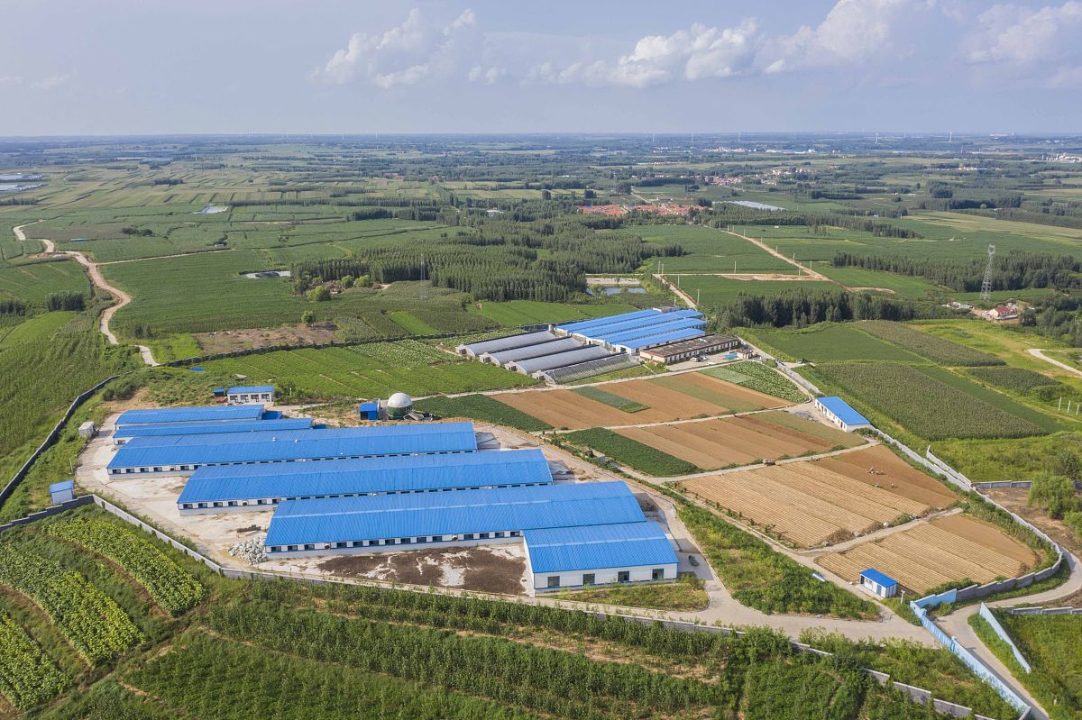 模板为：集团公司经营班子：为进一步加强南沙现代农业产业集团有限公司以下简称集团公司管理范畴内小型建设工程建安工程费400万元以下的质量技术管理为集团公司含下属全资、控股子公司提供优质便利的工程技术服务根据国家有关法律、法规以及集团公司《建设工程招标管理办法》等规定拟通过公开招标方式选取工程设计、工程监理、施工图审查、检验监测等四类工程专业技术服务单位打造集团小型建设工程专业技术服务平台。具体情况如