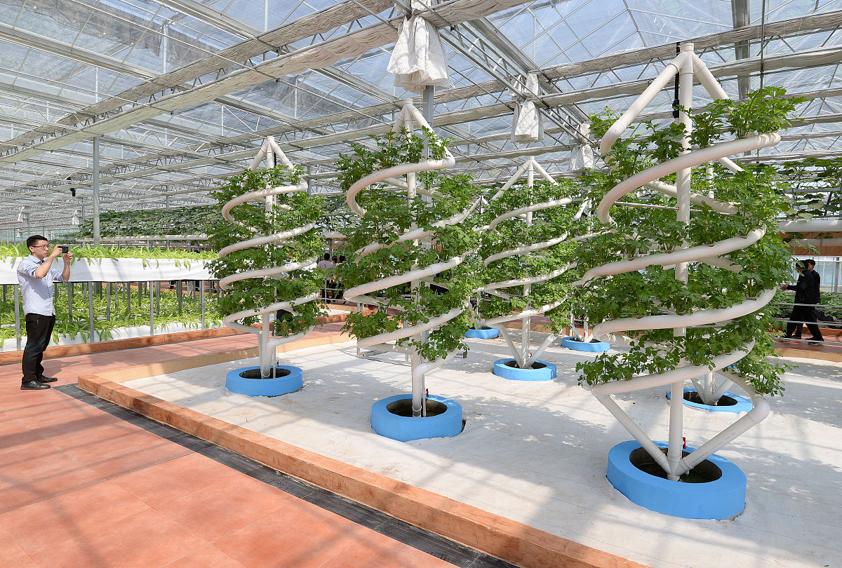 未来科技农场名字大全：创意十足，引领潮流！