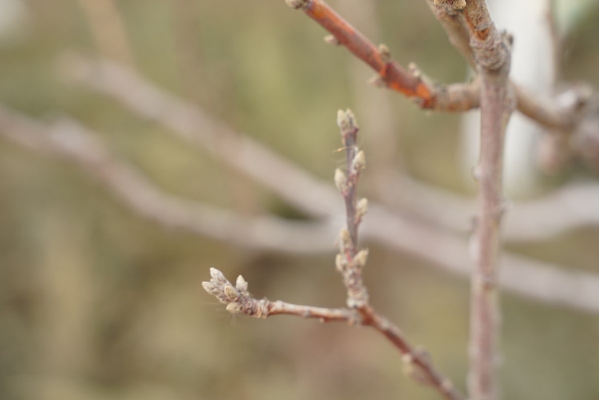 教育学硕士毕业论文致谢：感谢所有帮助我的人