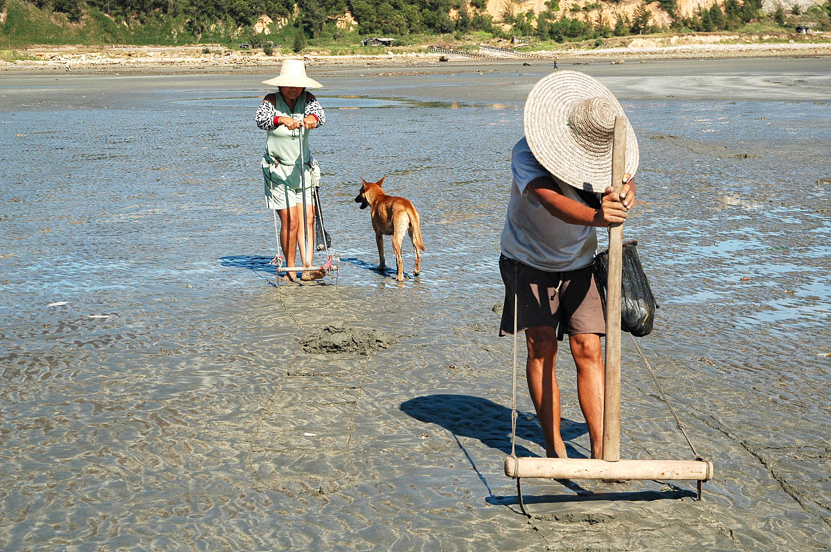 我的老家在海边父母是渔民。老家曾经很落后目前有改观但和城市里相比还是落后很多。 小学生作文《我的童年》。