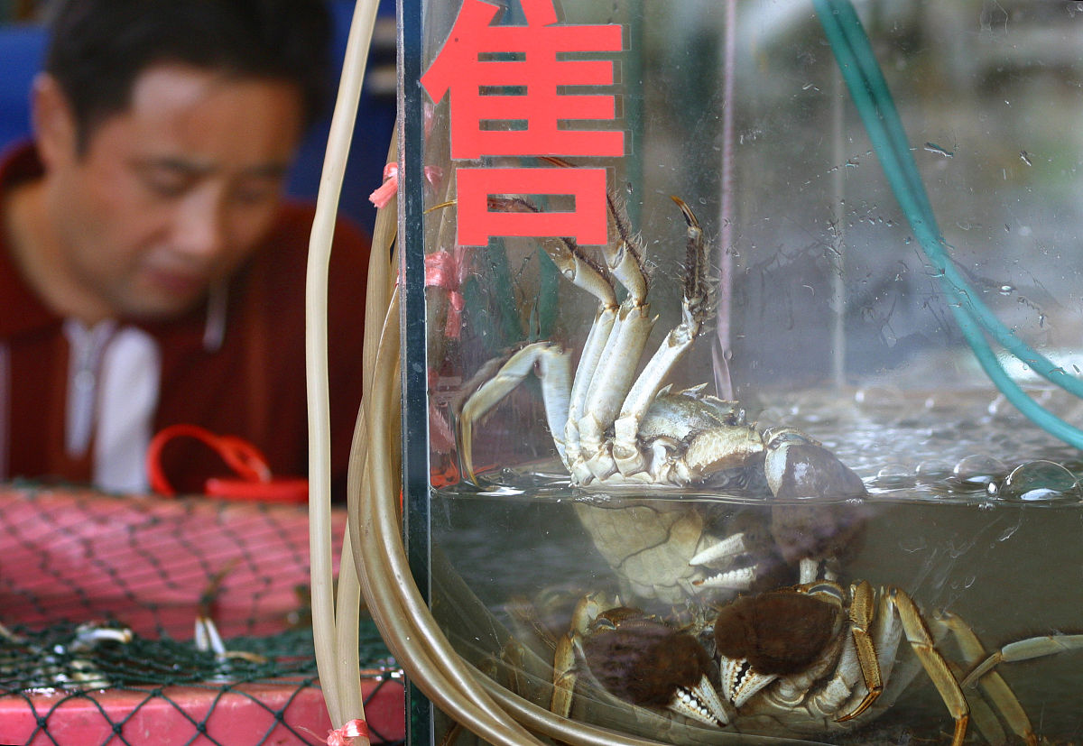 阳澄湖大闸蟹：正宗产地，鲜美肉质