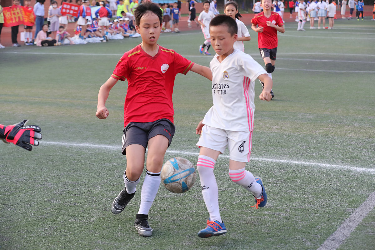 2020年四川幼儿师范高等专科学校五年制大专招生专业