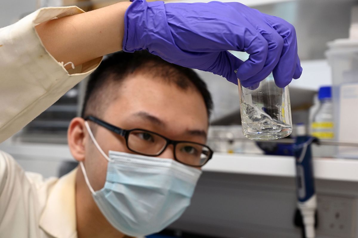 河南建筑职业学院工程招标采购与投标管理专业就业前景 - 就业方向、发展趋势分析