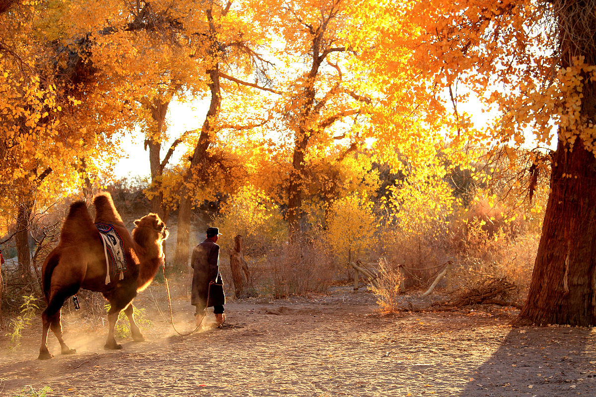 云南省林业学校现代林业技术专业招生 | 2022年招生简章