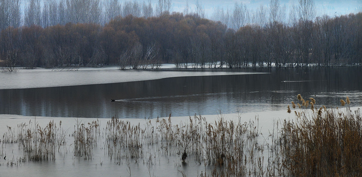 枣庄薛城区职业中专2021年招生简章 - 专业齐全 助力未来