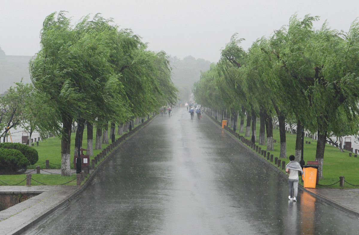 补充优化一下：下滨河东区柳絮的问题不天天刮的睁不开眼有的小孩还过敏别的地方都没有就这条路上太多了