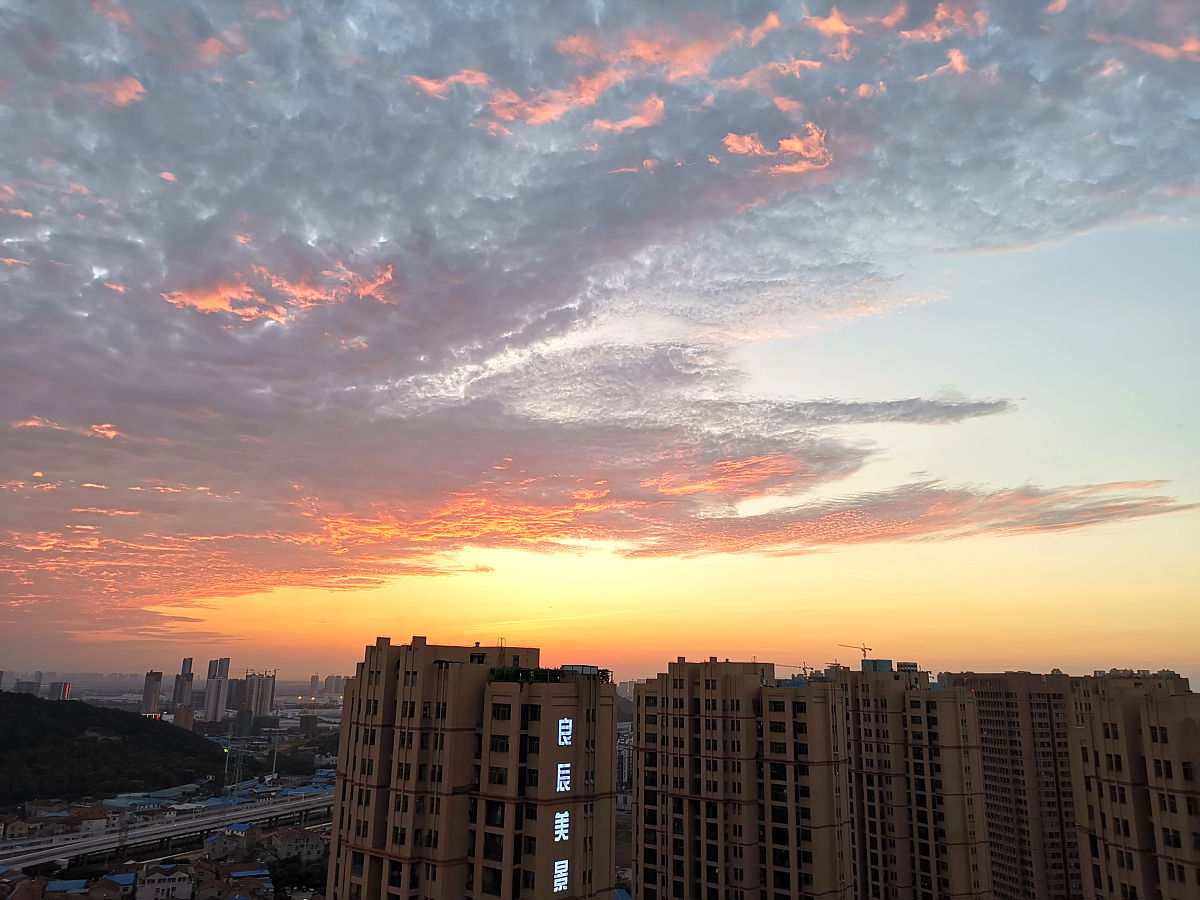 武汉卫校后悔了：湖南学生分享真实经历