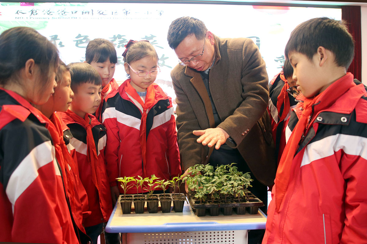 2021年3月24日,江苏省太仓港港口开发区第一小学学生在听取农业专家讲