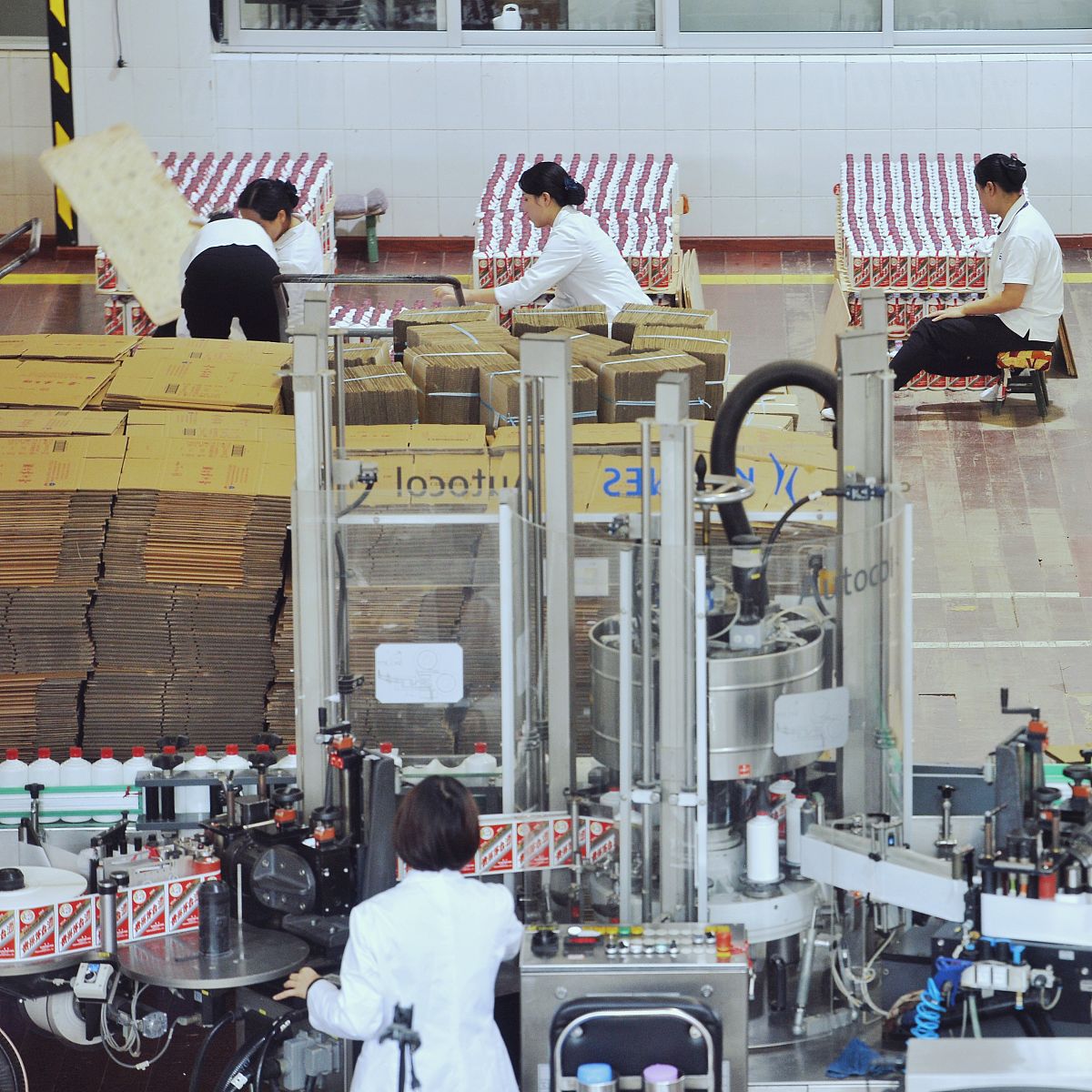 酒泉职业技术学院食品智能加工技术专业课程设置有哪些