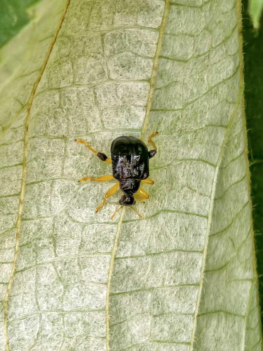 2023年新余哪所公办中专学校好好不好