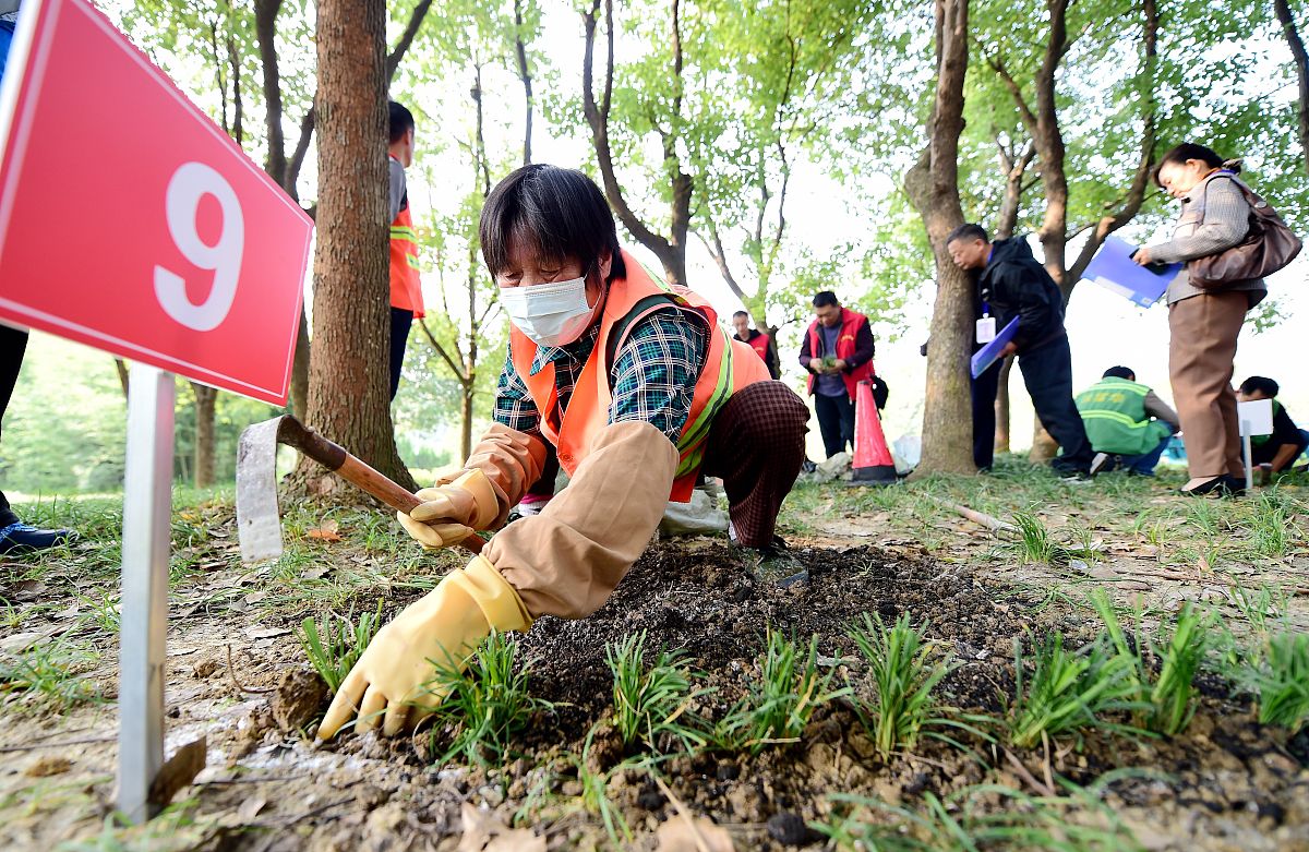 户外教育内容详解：涵盖自然、生存、体能、文化，如何与学科教育融合？