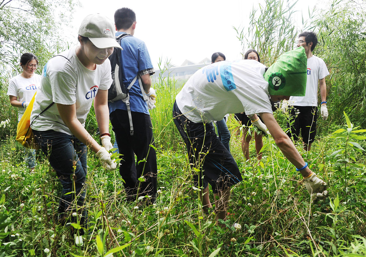 我去了学校的试验基地去进行大学生劳动耕地介绍本次劳动所宣讲的知识领域、目标人群、项目开展时间和地点、项目开展方式