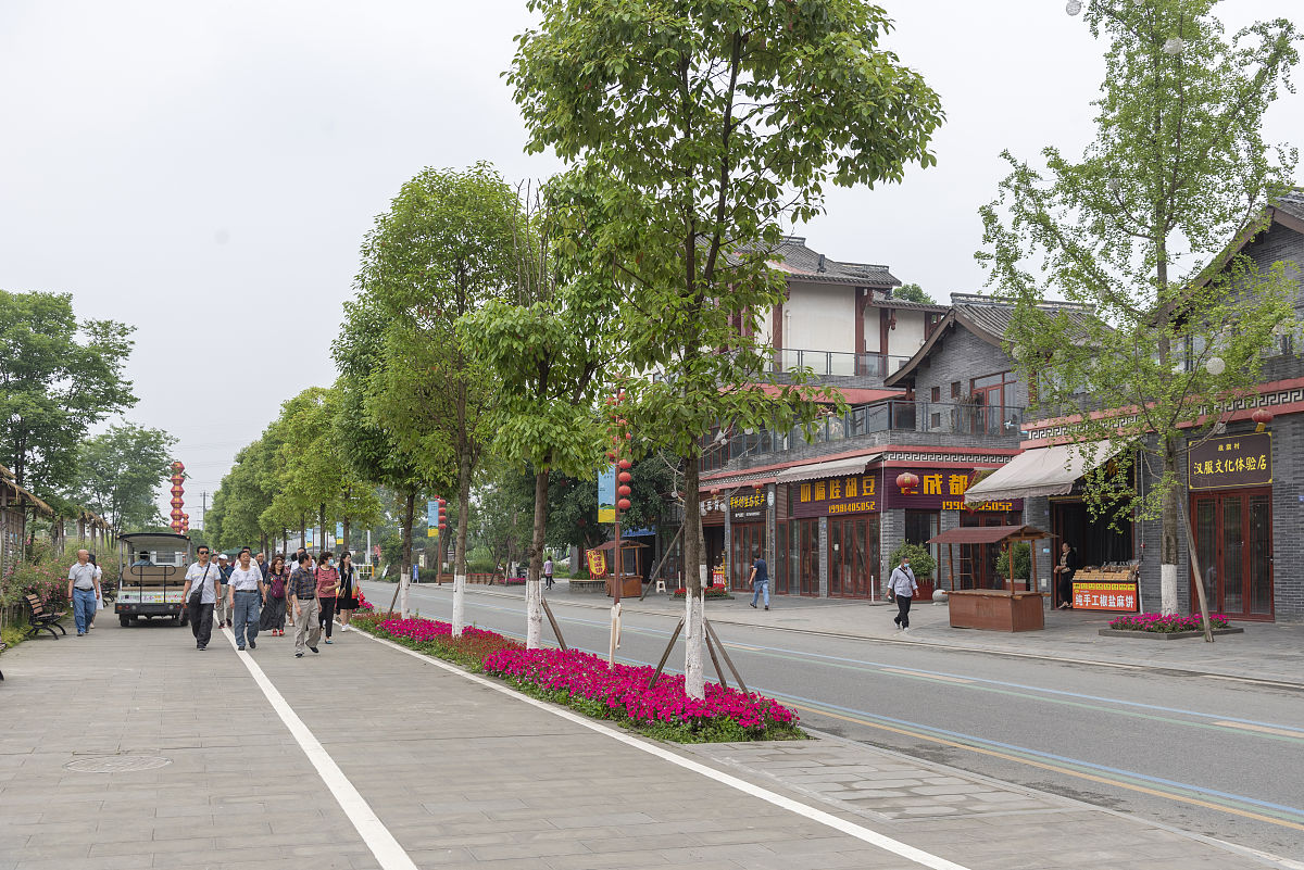 乡村振兴实践活动：参观示范村，感受农村发展新气象