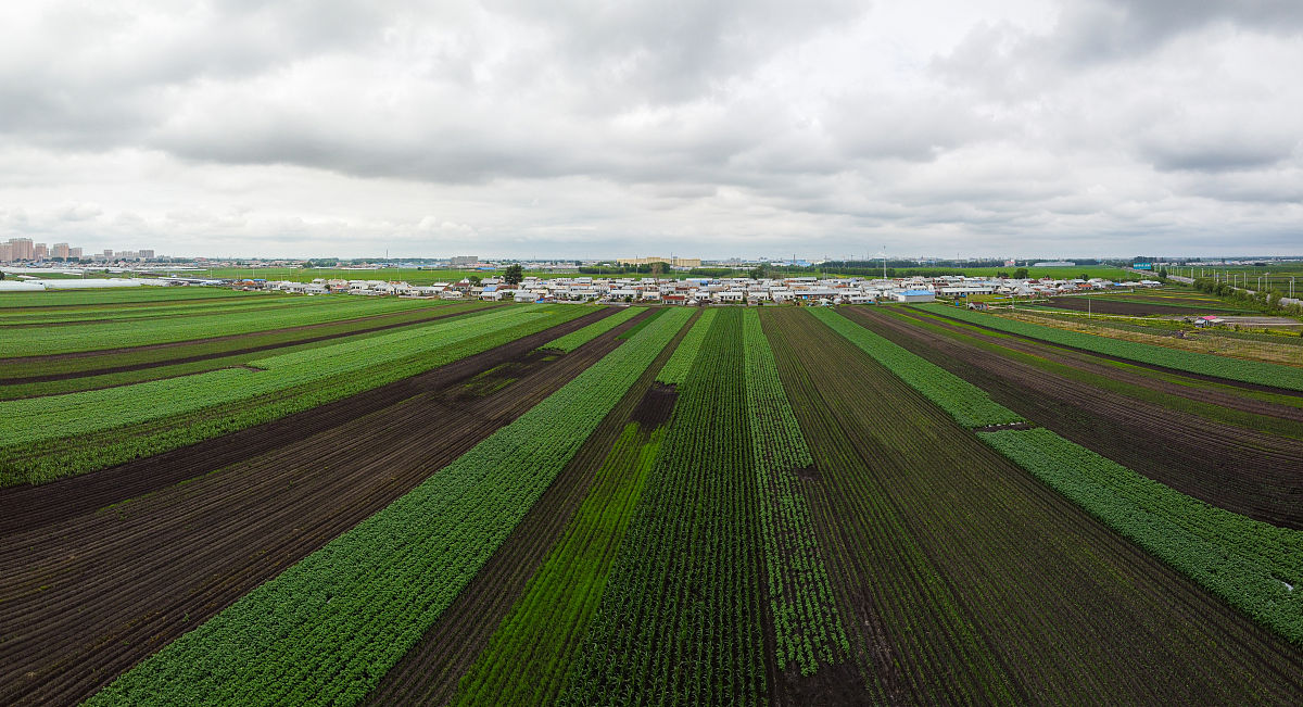 农业基地实习报告：收获实践经验，提升农业技能