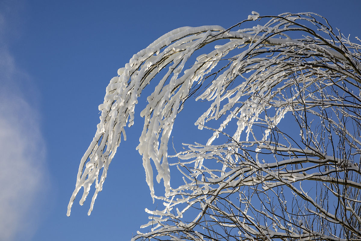 吉林幼儿园开学时间2020