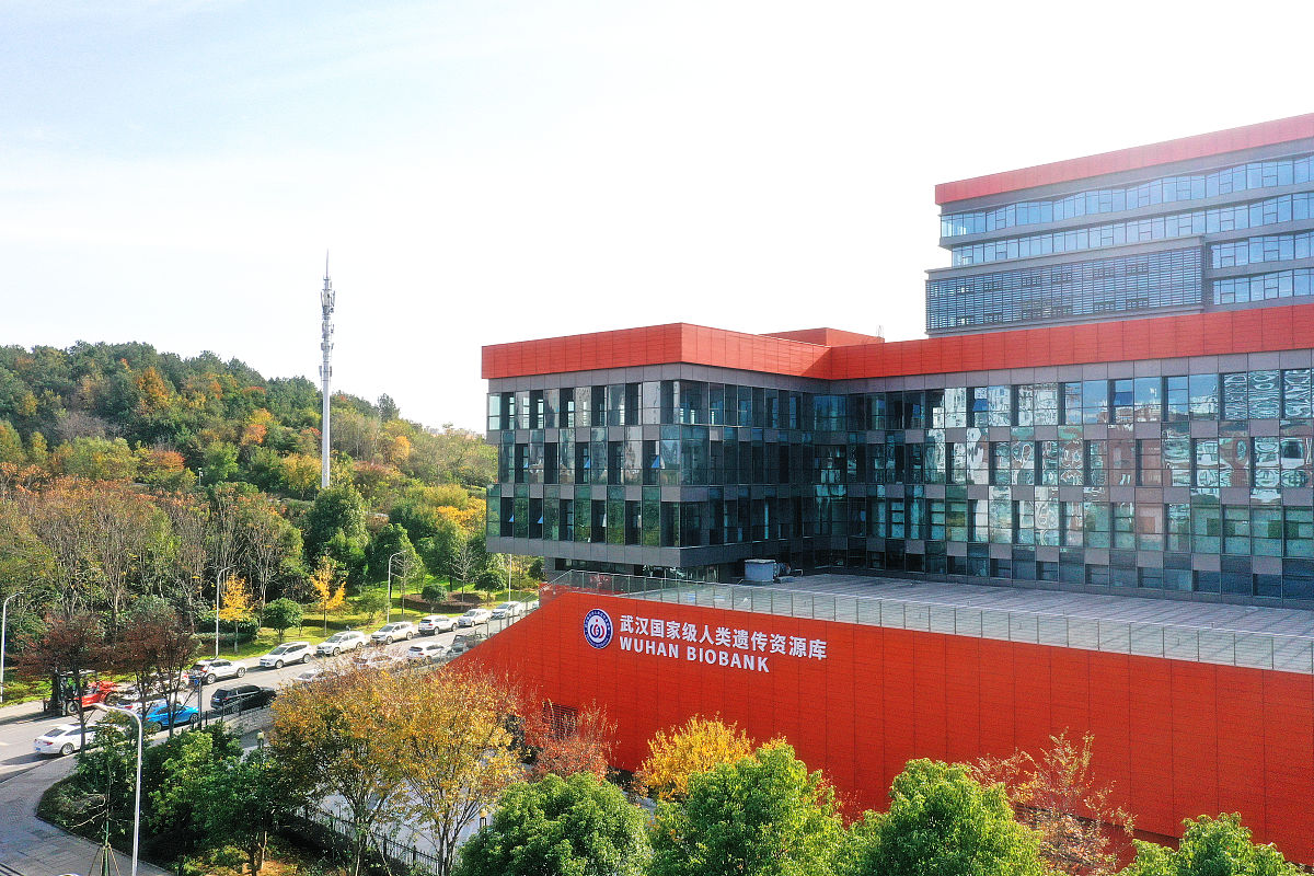 解密武汉国家级人类遗传资源库 在-196℃里探索生命奥秘的论文