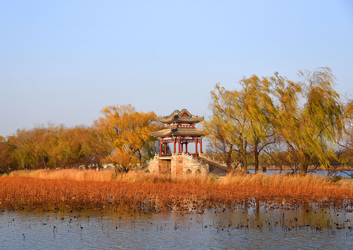 措一个酒与秀水有关的诗句