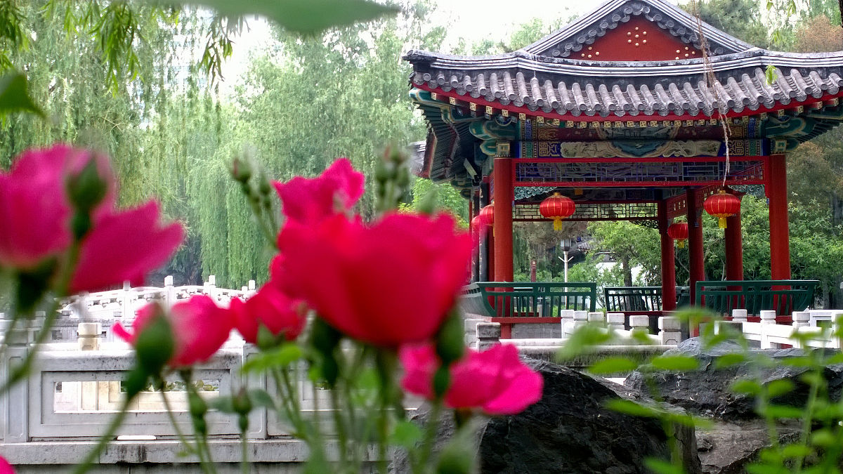 如何恢复微信聊天记录