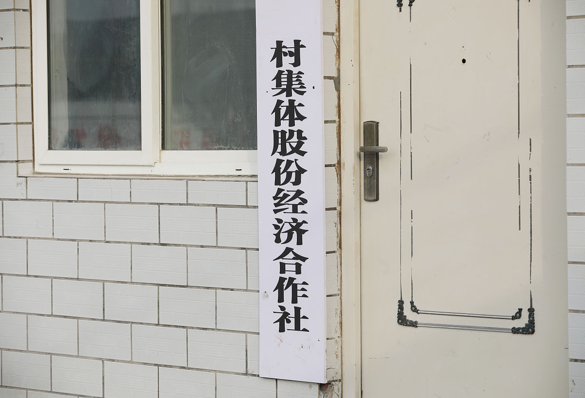 发展壮大村级集体经济规划：提升农业、乡村旅游、电商和合作社