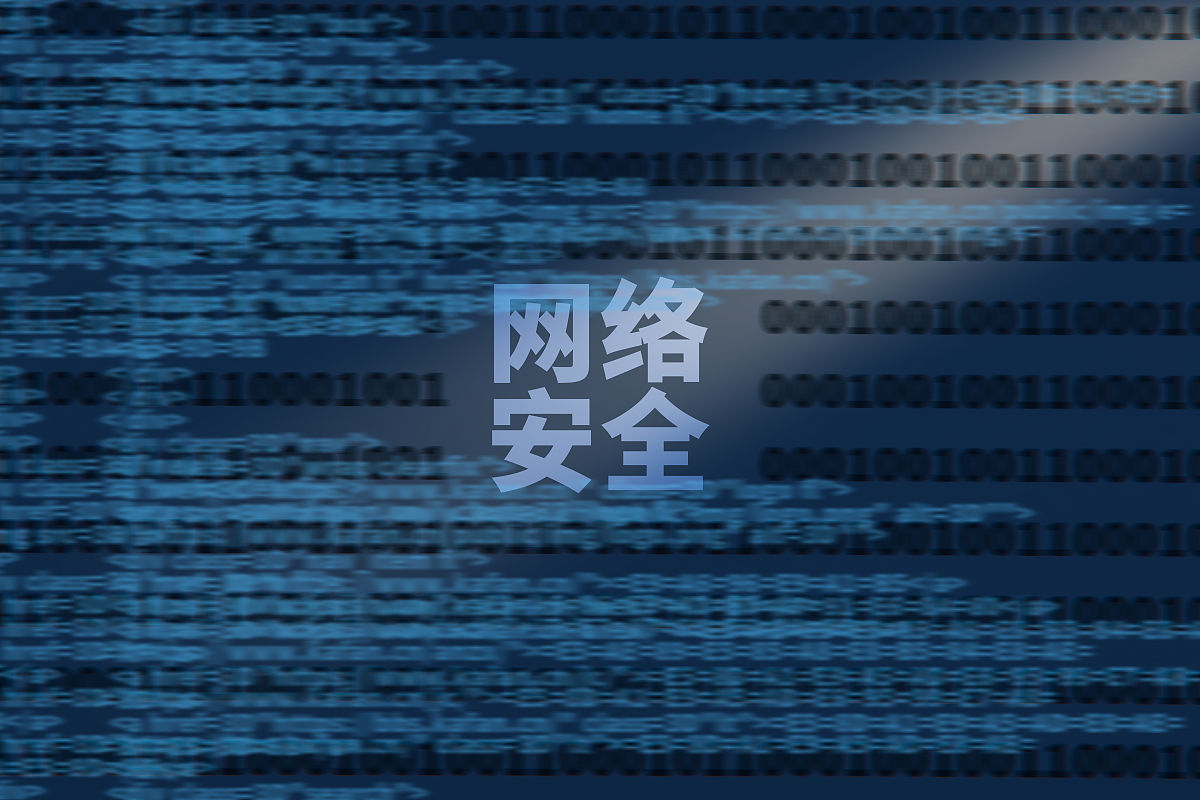 网络安全初学者月报：一个月学习进展总结