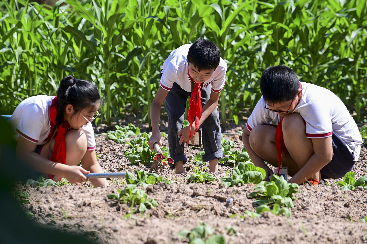 田野考察田野考察是一种对社会人类现象进行深入研究的方法论。它强调要进入实地、与被研究对象接触并参与其中以便更加全面地了解相关信息、获得更多的数据和见解。田野考察通常需要在现场进行长期观察或直接参与例如观察某个社区的居民生活、记录某个群体的行为方式、收集某个文化的语言文字和习俗等。该方法具有直接感性、贴近实际和获得深入洞见的优点但也存在着获取数据量不足、难以进行量化分析等缺点。田野考察方法在人类学、