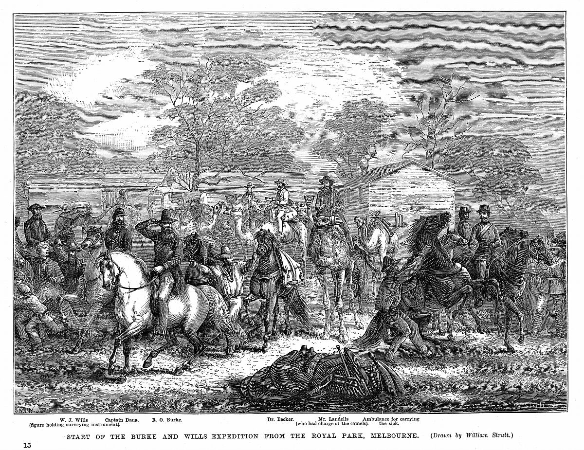 土地的誓言分段概括