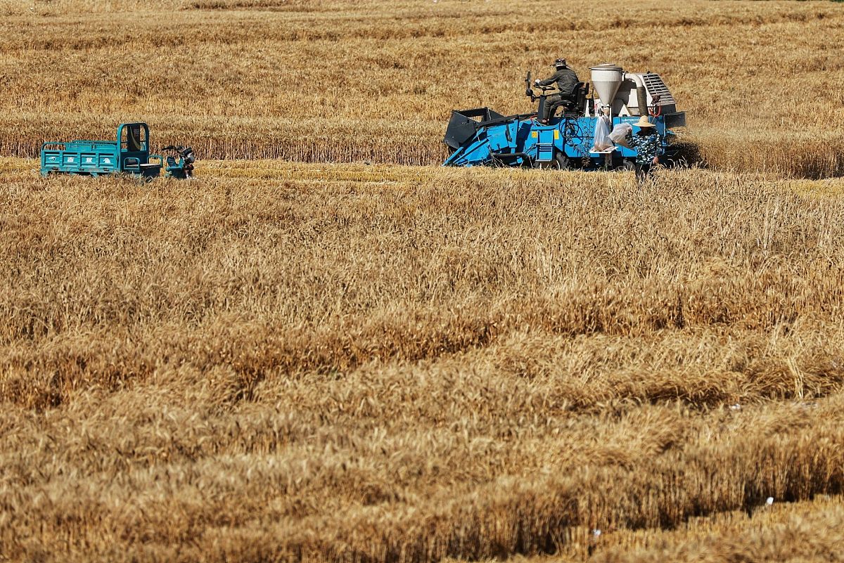 宁夏农业广播电视学校五年制大专招生简章：初中起招，培养农业人才