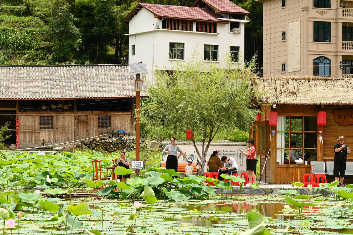 乡村旅游：体验农村生活，放松身心，享受自然美景