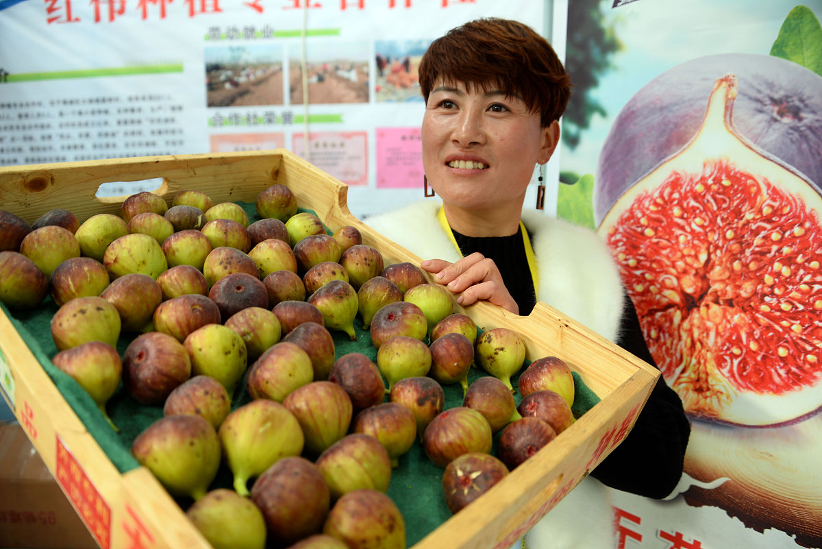 鹤庆22年地理标志农产品有几个鹤庆设施数量多少个