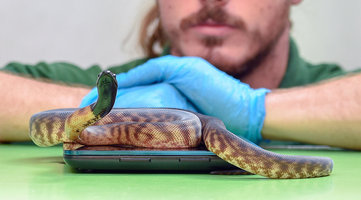 3in1234的值为什么是false