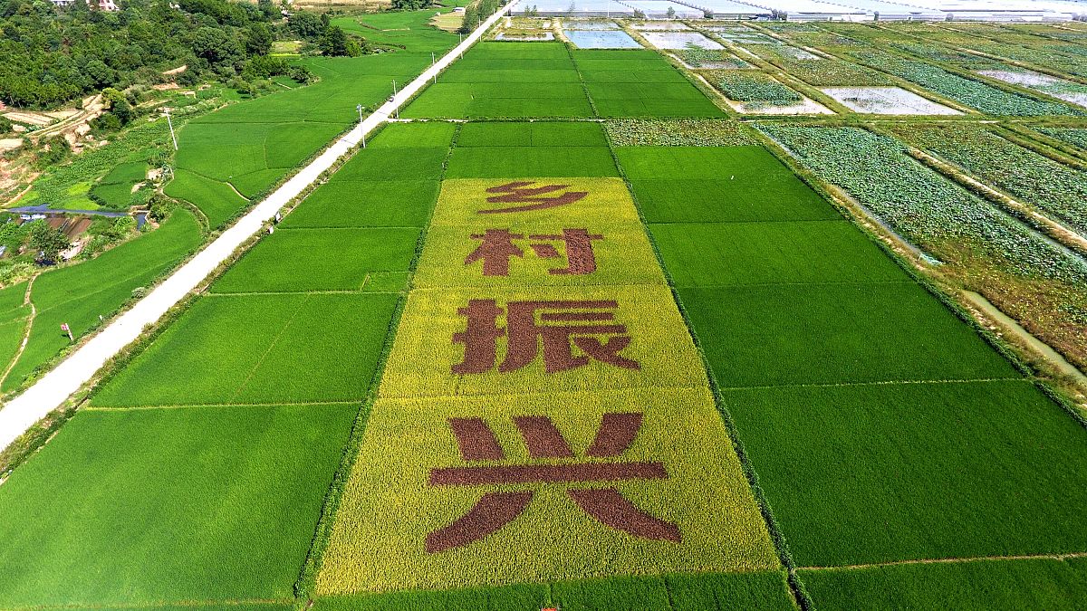 阜阳乡镇企业中专学校2023年招生专业-怎么样