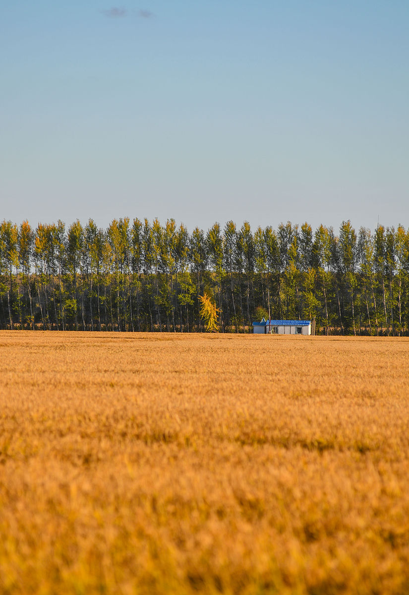 黑龙江农垦科技职业学院畜牧兽医专业好就业吗